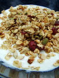 yogurt with granola and dried berries